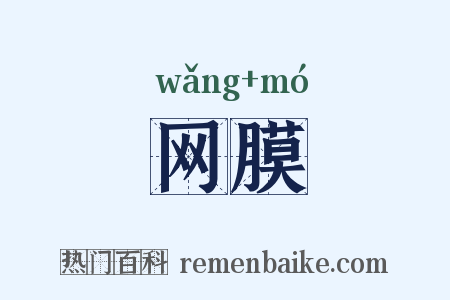 网膜是什么意思的图片